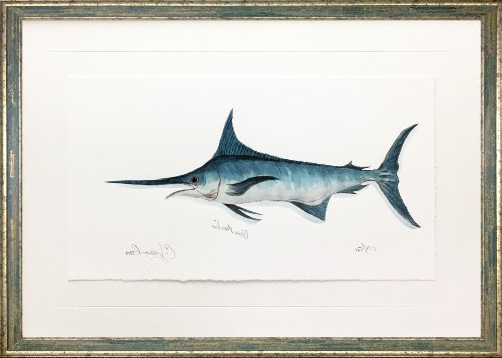 Blue Marlin