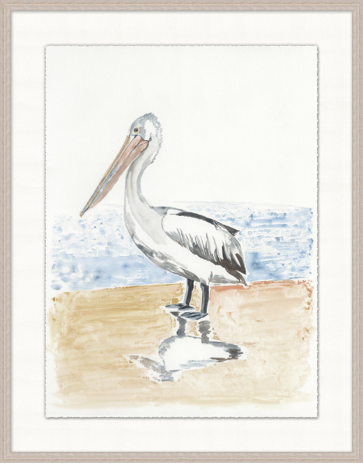 Pelican Posture