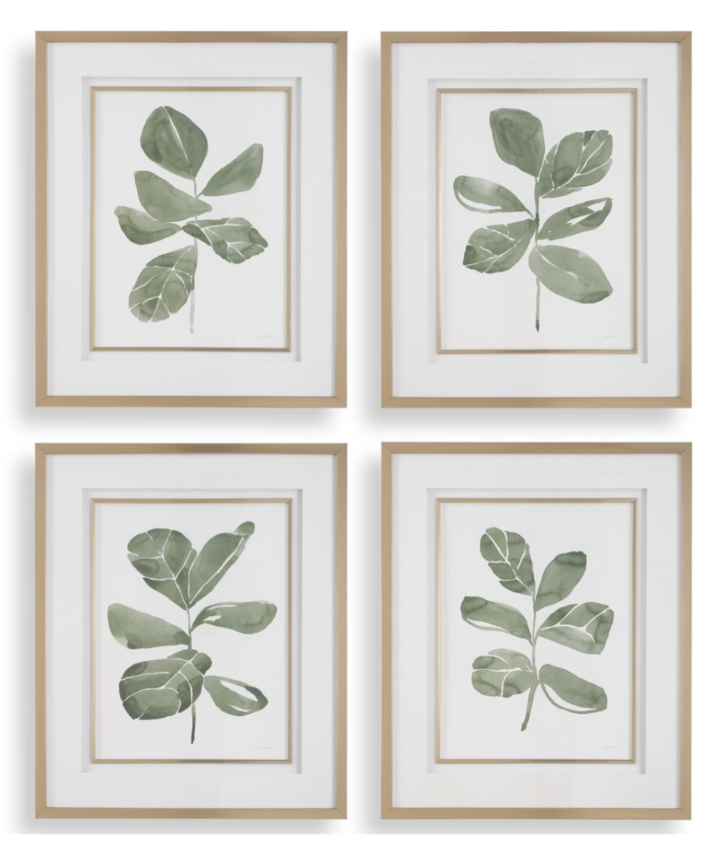 The Green Set: A Quartet of Botanical Art