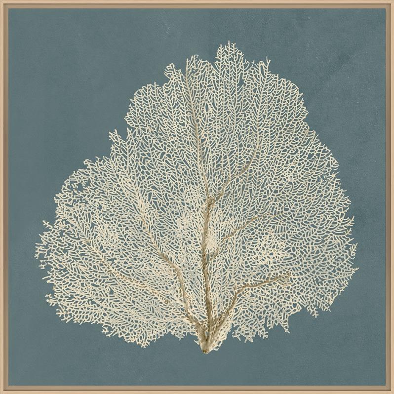 Ocean Lace III