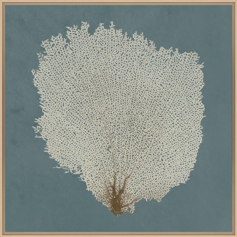 Ocean Lace IV