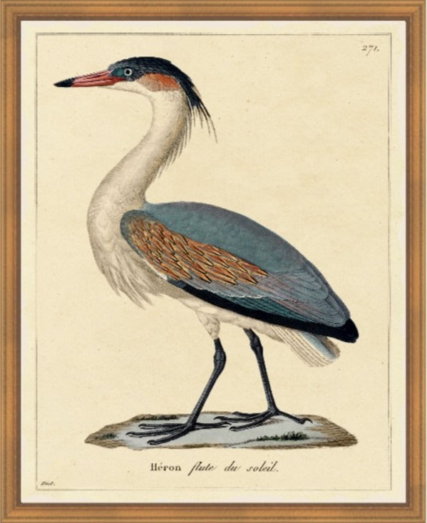 Heron, 28" x 35", Gold frame