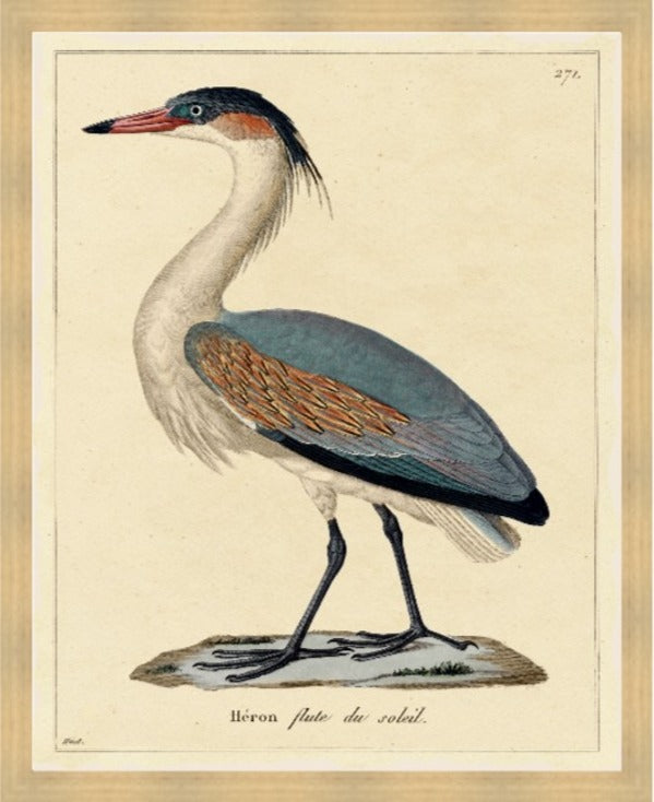 Heron, 28" x 35", Blonde Maple wood frame