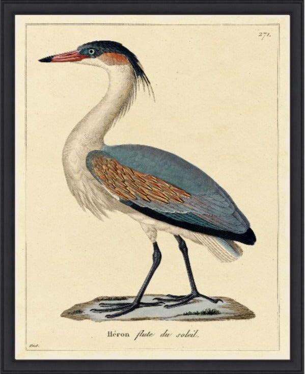 Heron, 28" x 35", Black frame