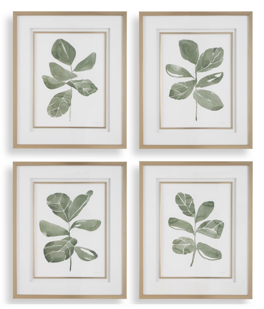 The Green Set: A Quartet of Botanical Art