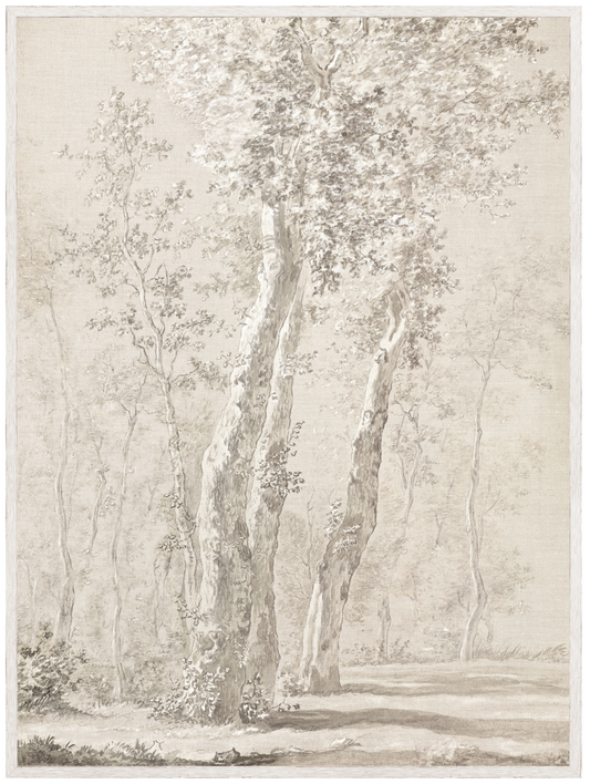 Sepia Grove