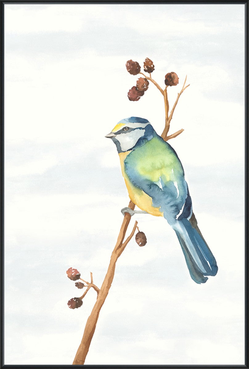 Gossamer Rest 20" x 30" Black frame