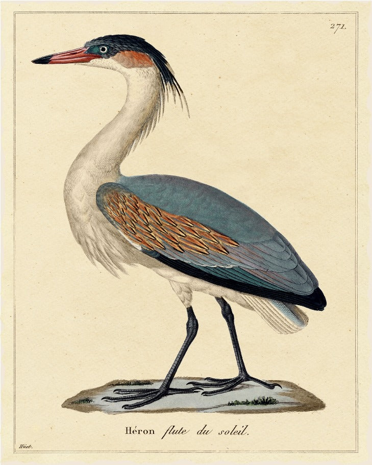 Heron, artwork