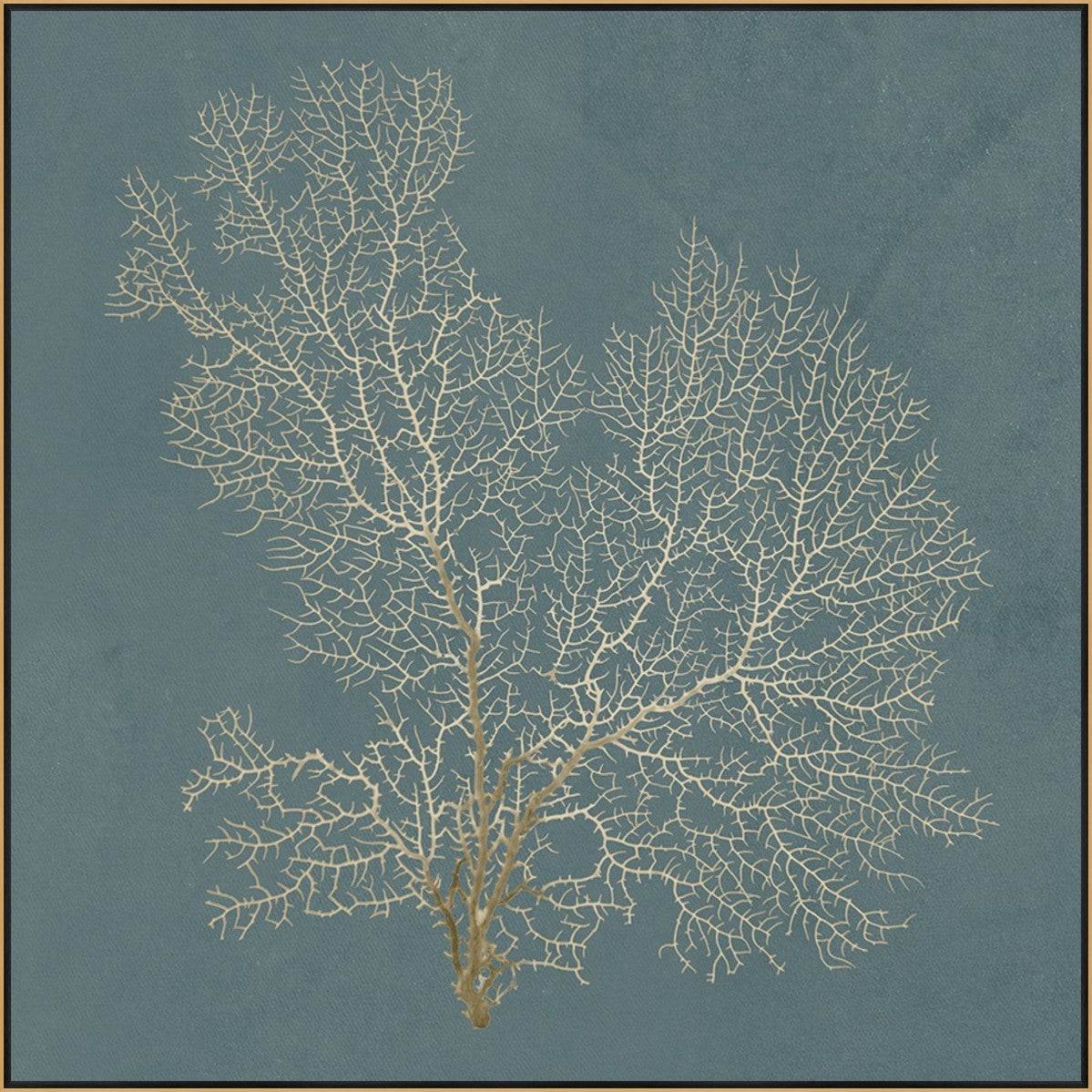 Ocean Lace I 30" x 30" Gold frame