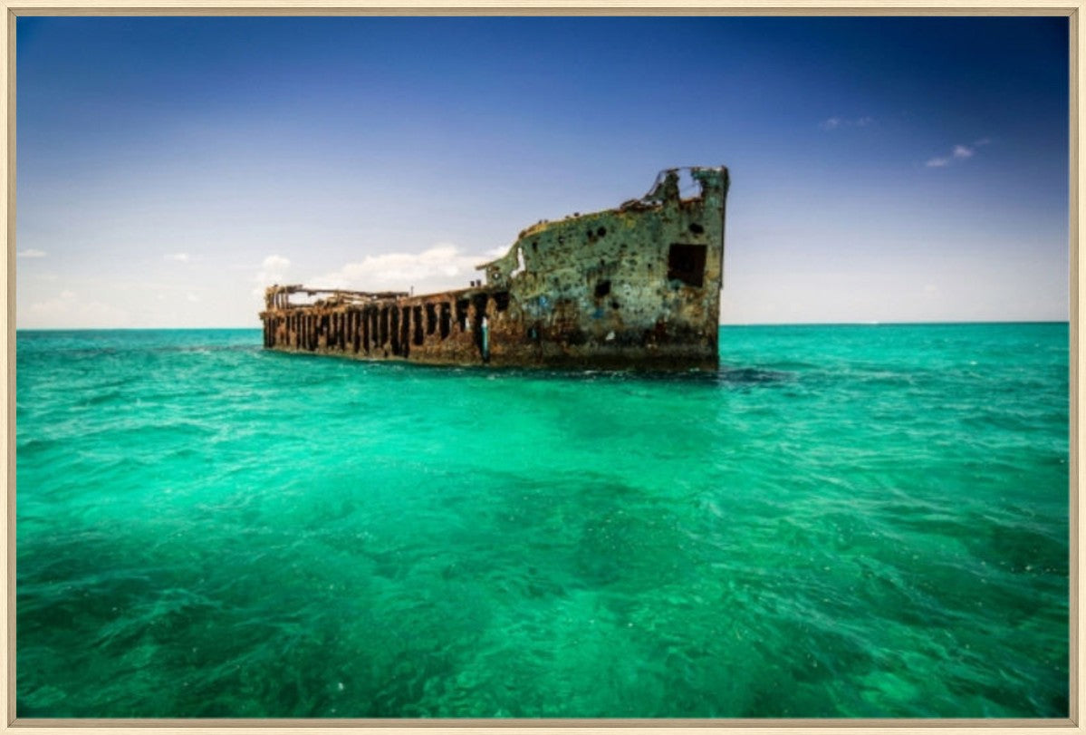 Forgotten Voyage 36" x 24" Wood frame