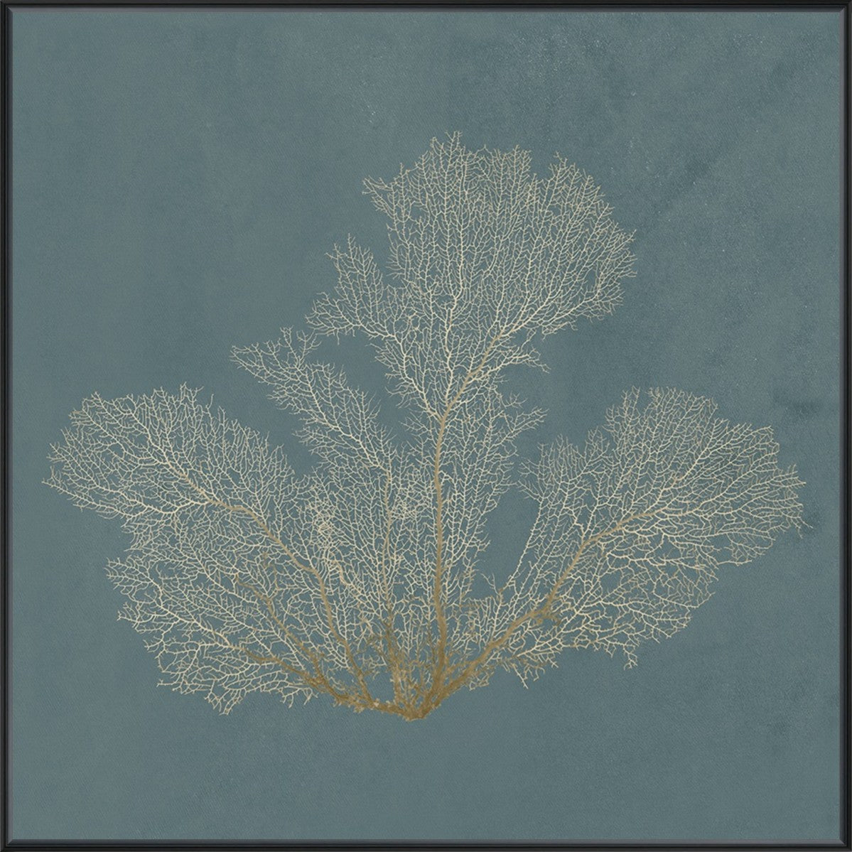Ocean Lace II