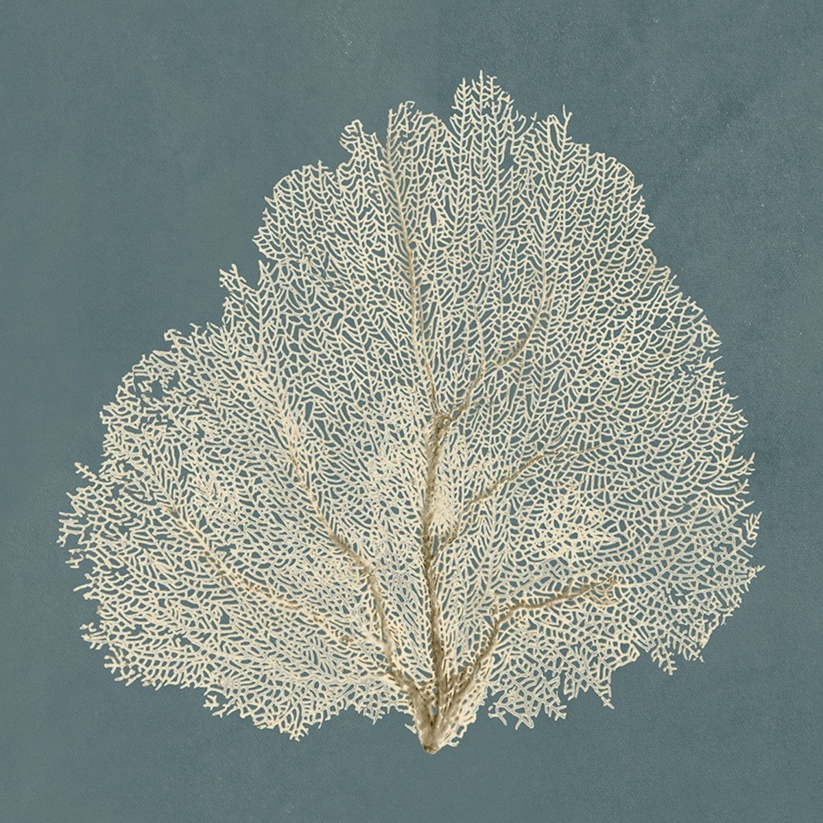 Ocean Lace III