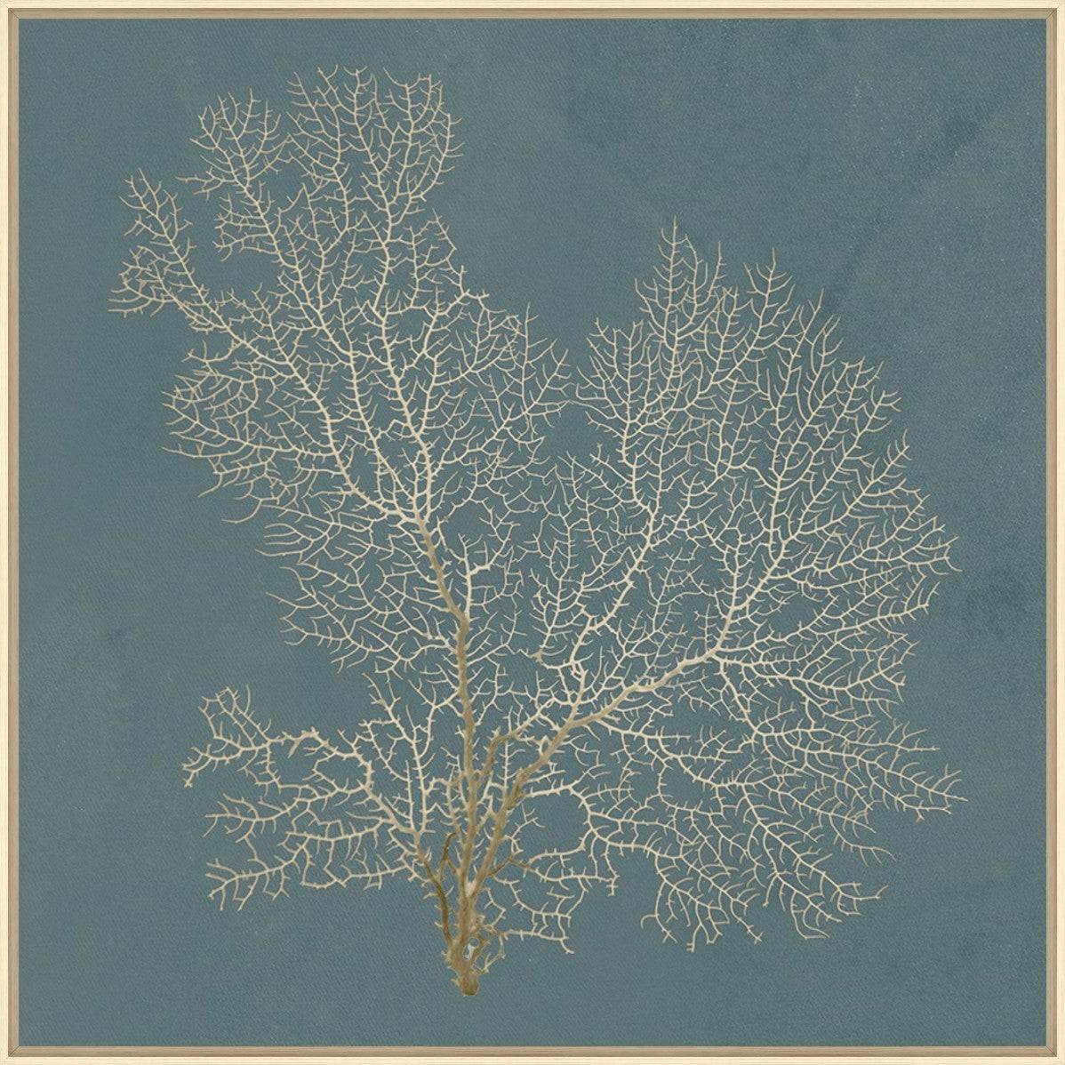 Ocean Lace I 30" x 30" Wood frame