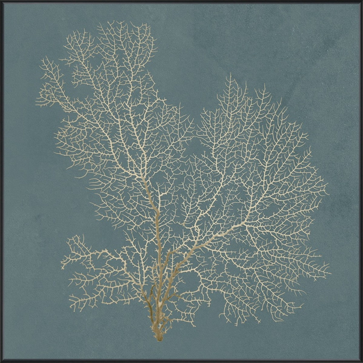 Ocean Lace I 30" x 30" Black frame