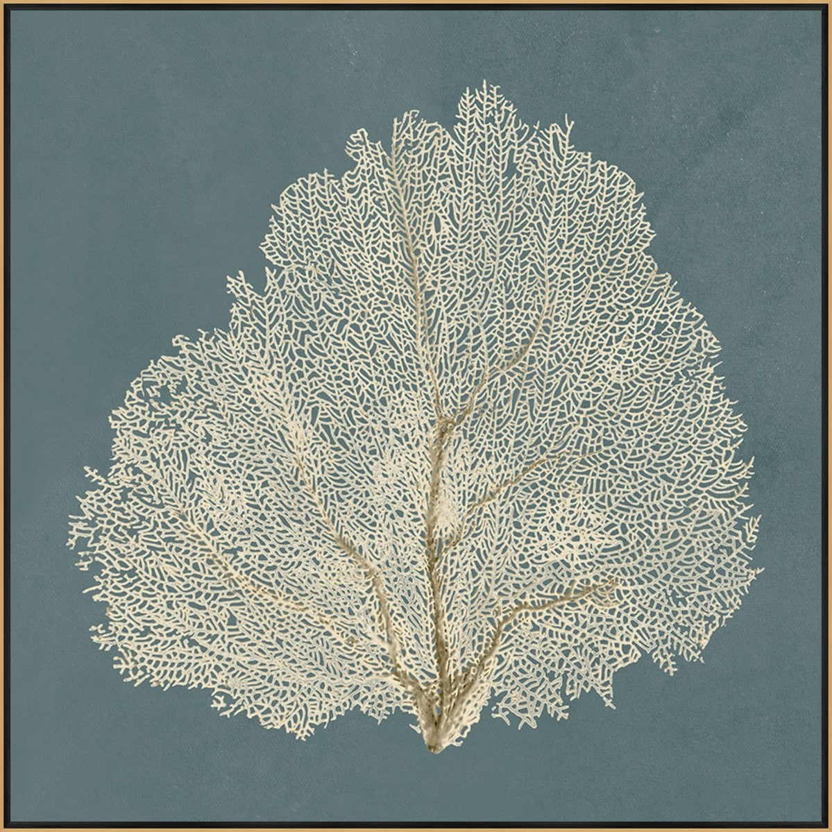 Ocean Lace III