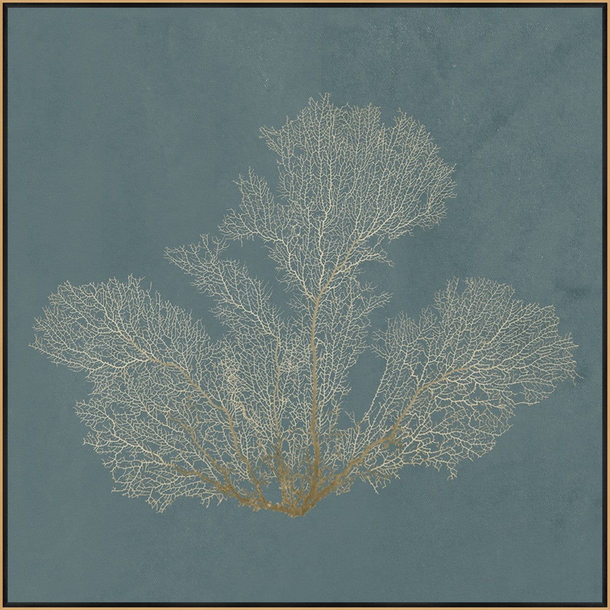 Ocean Lace II