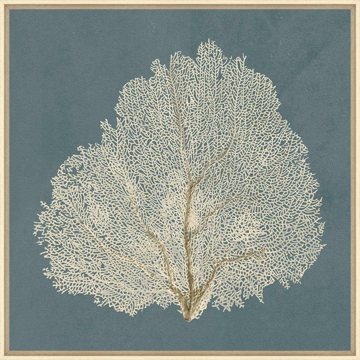 Ocean Lace III
