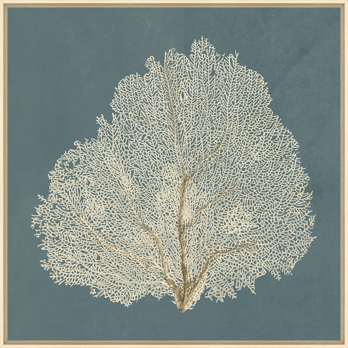 Ocean Lace III