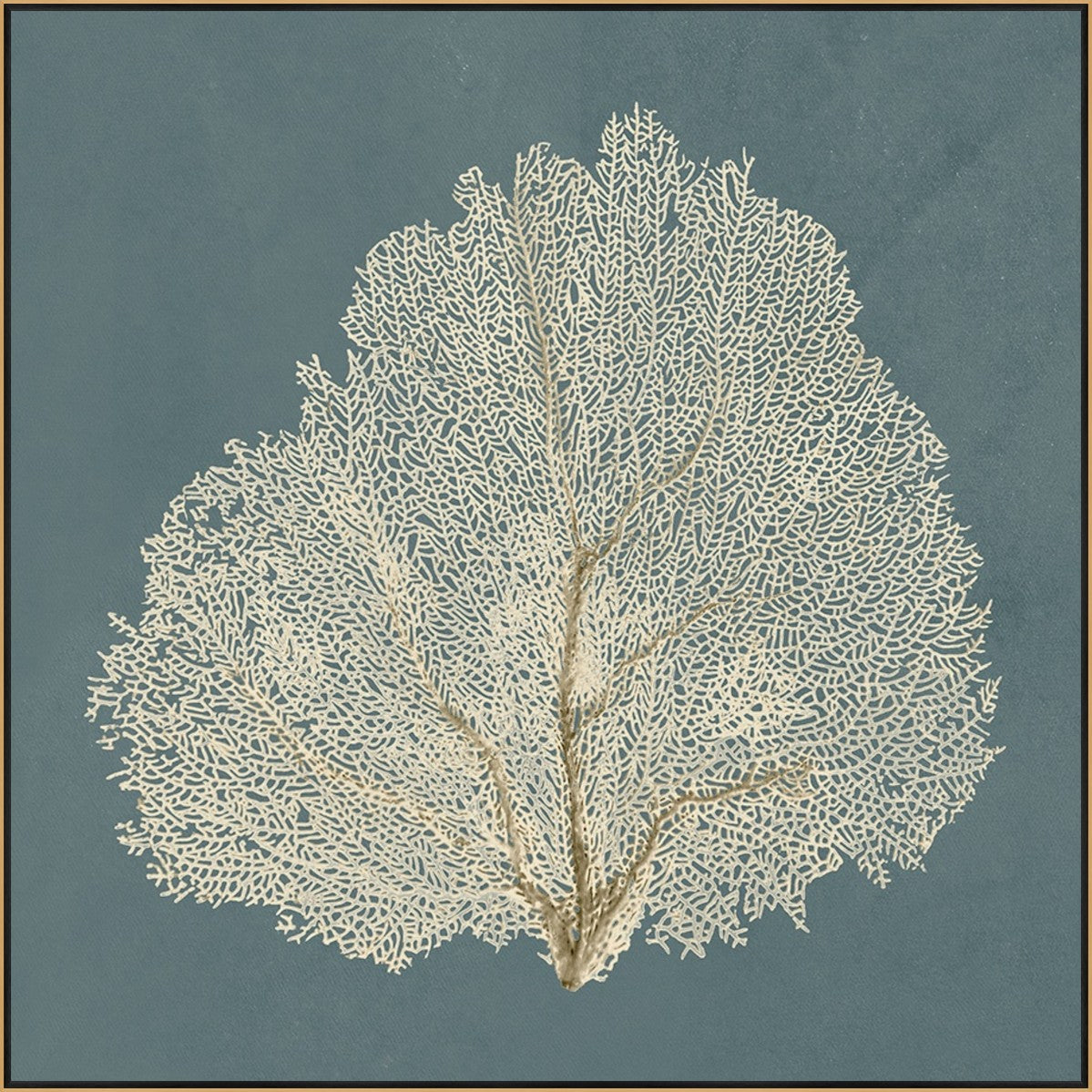 Ocean Lace III