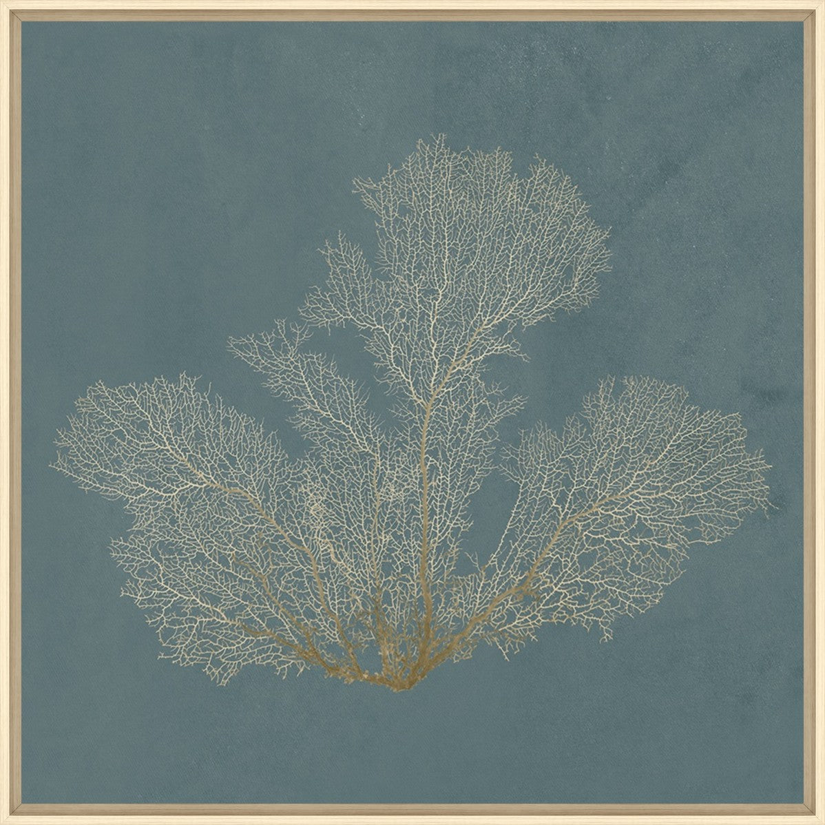 Ocean Lace II