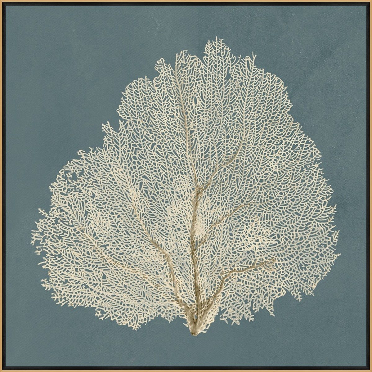 Ocean Lace III