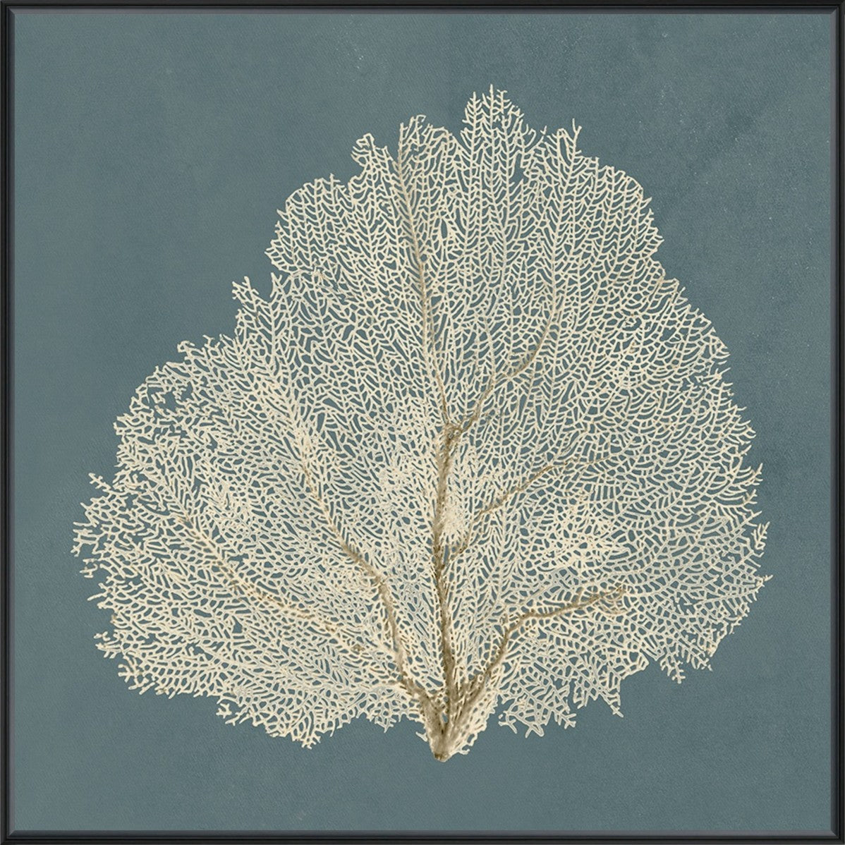 Ocean Lace III