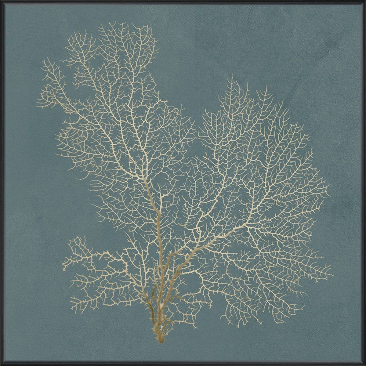 Ocean Lace I 24" x 24" Black frame