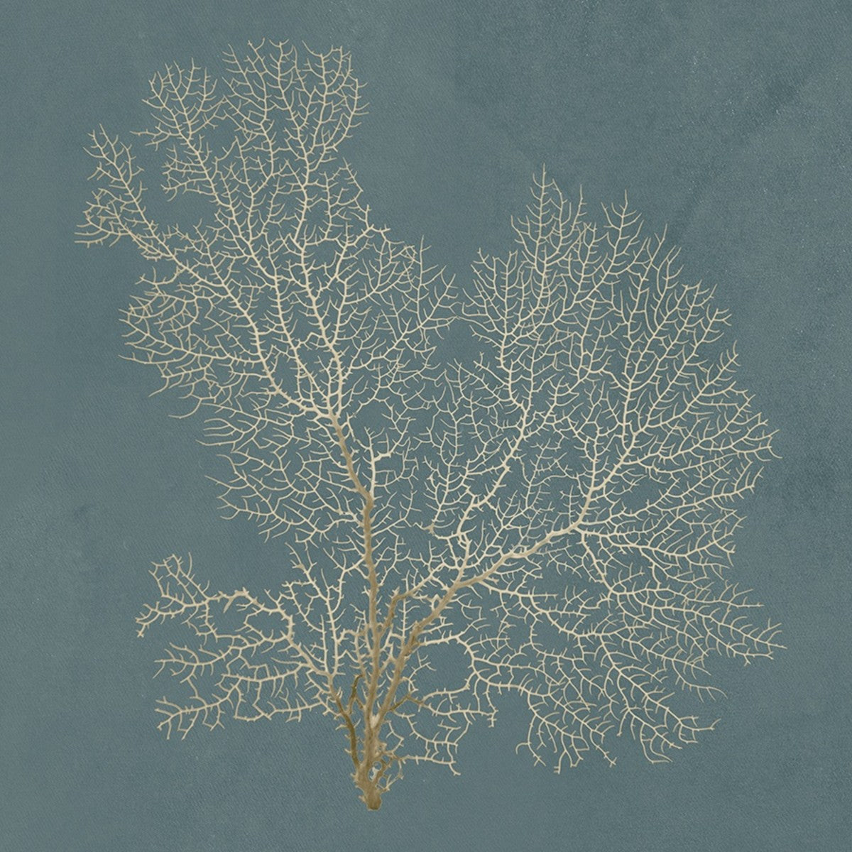 Ocean Lace I 24" x 24" Unframed frame