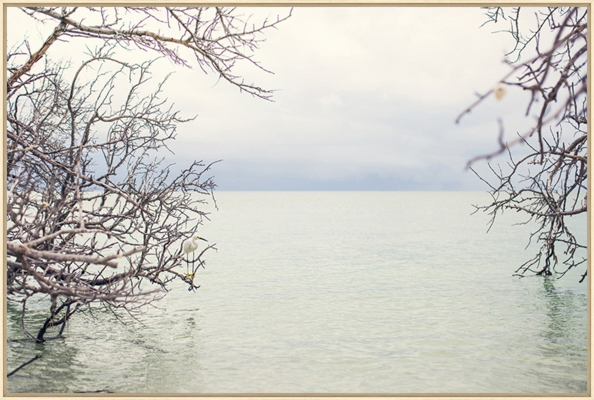 Shade of the Tide 45" x 30" Wood frame