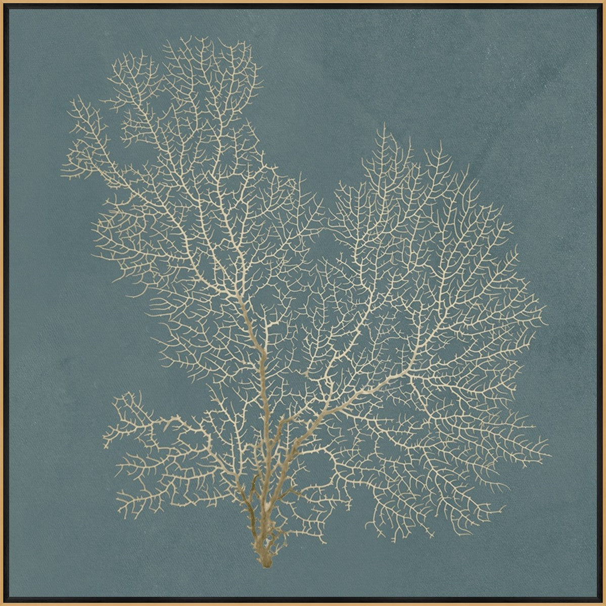 Ocean Lace I 20" x 20" Gold frame