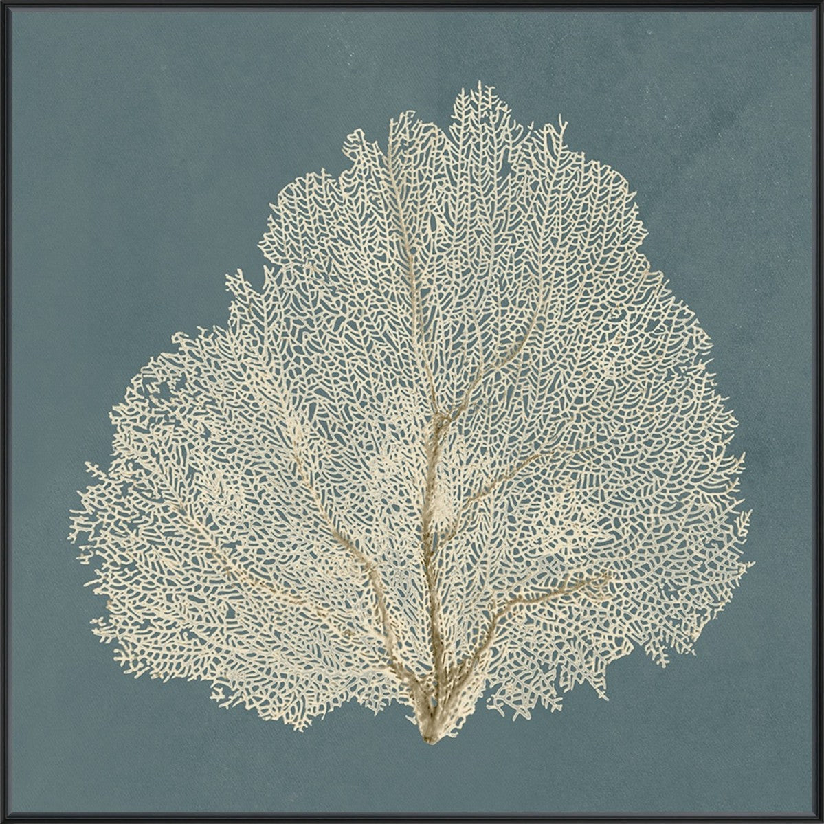 Ocean Lace III