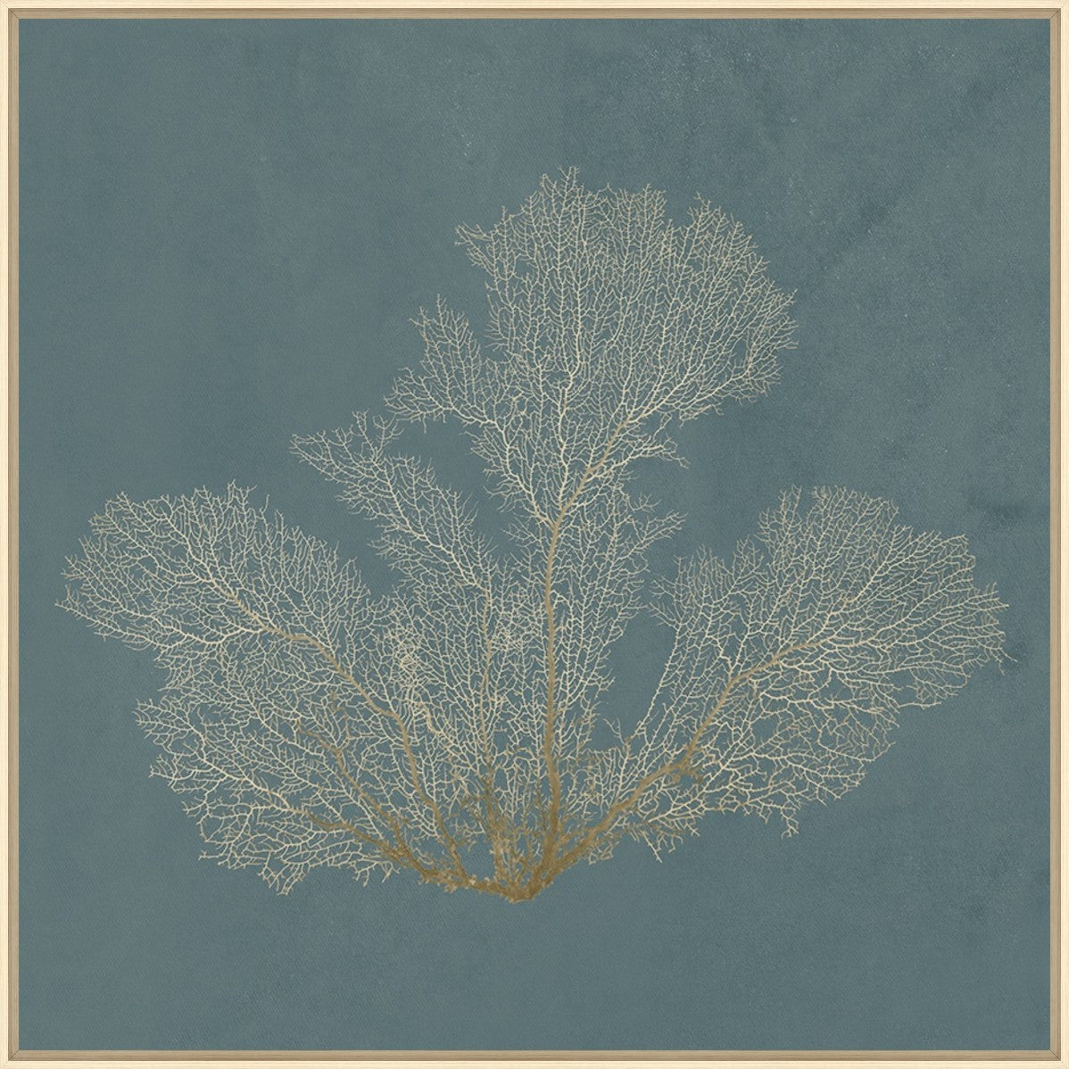 Ocean Lace II