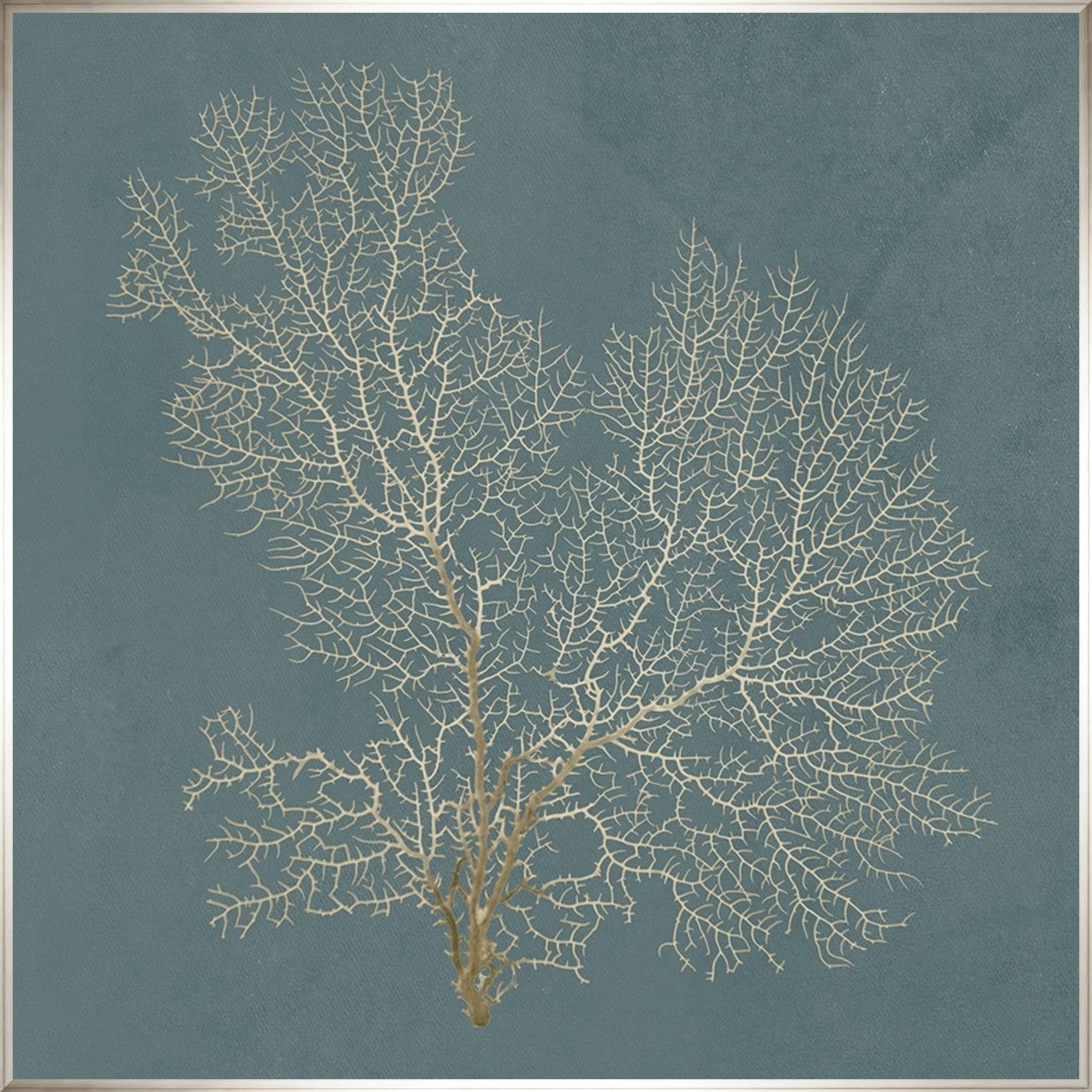 Ocean Lace I 30" x 30" Silver frame