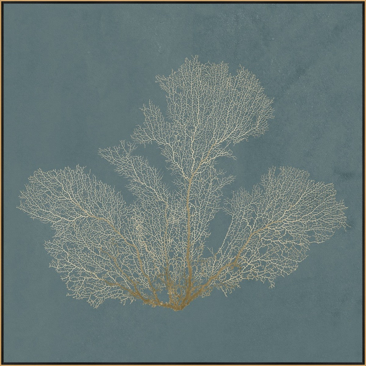 Ocean Lace II