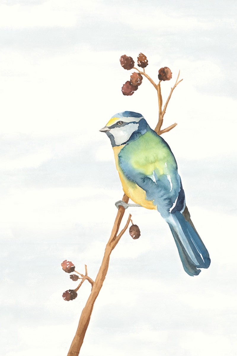 Linen Bird II, 20" x 30", Unframed
