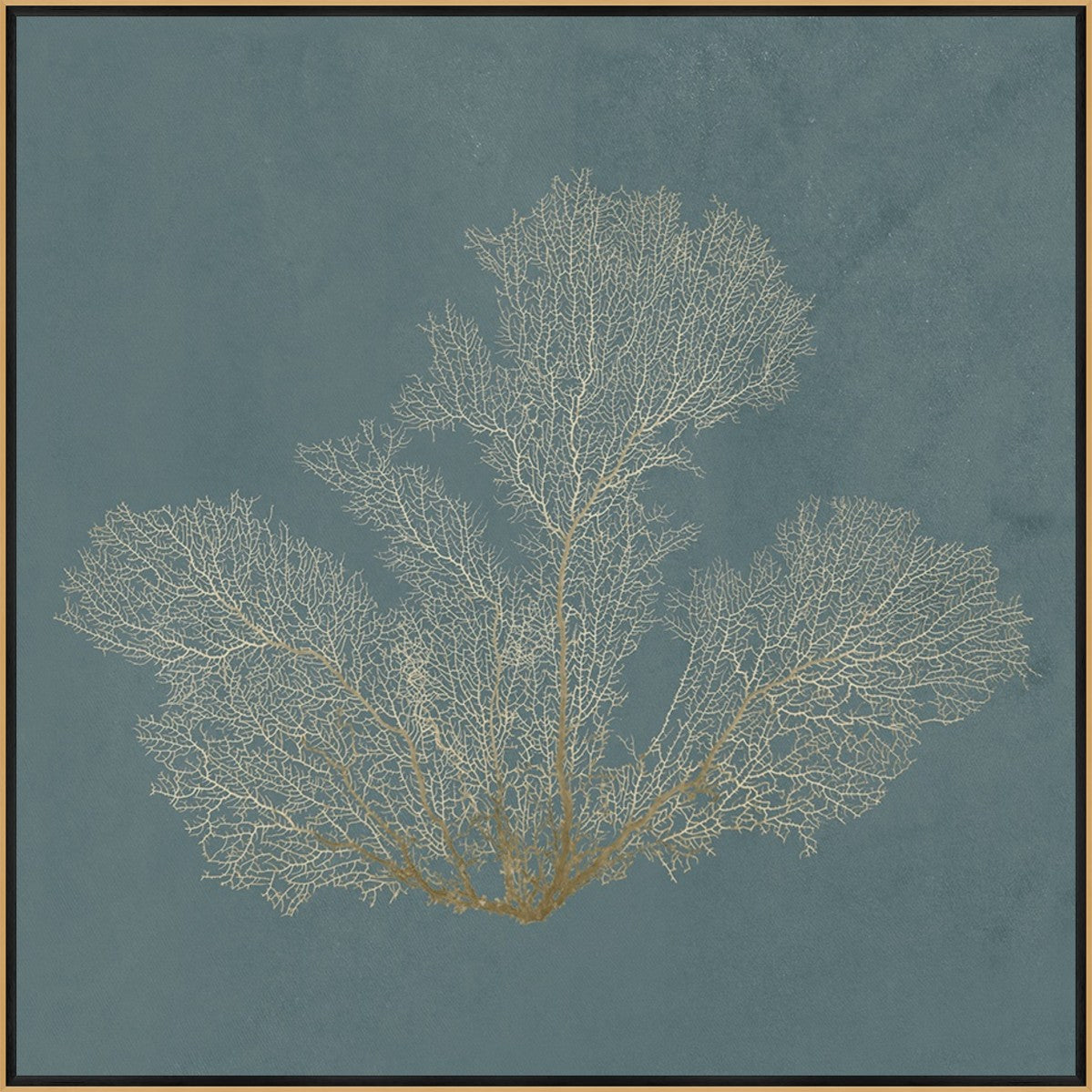 Ocean Lace II