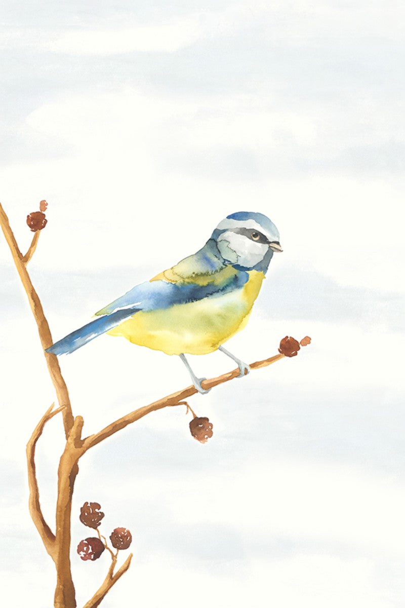 Linen Bird I, 30" x 45", Unframed