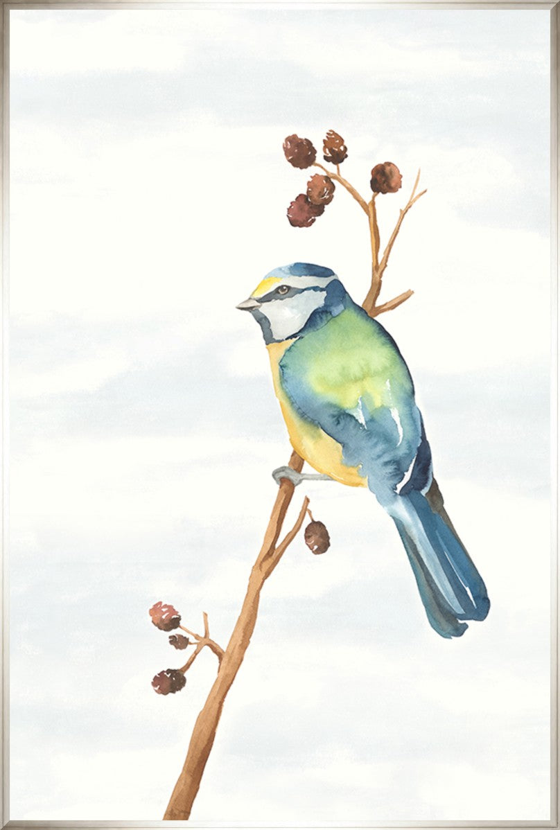 Linen Bird II, 20" x 30", Silver frame