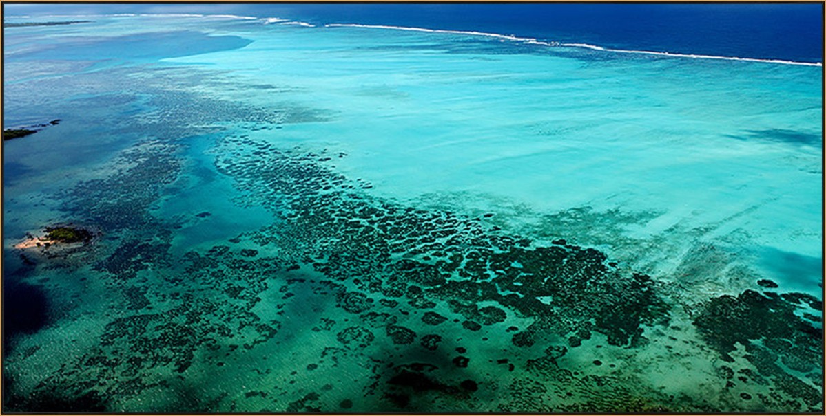 Tropical Shoreline, 60" x 30", Gold frame
