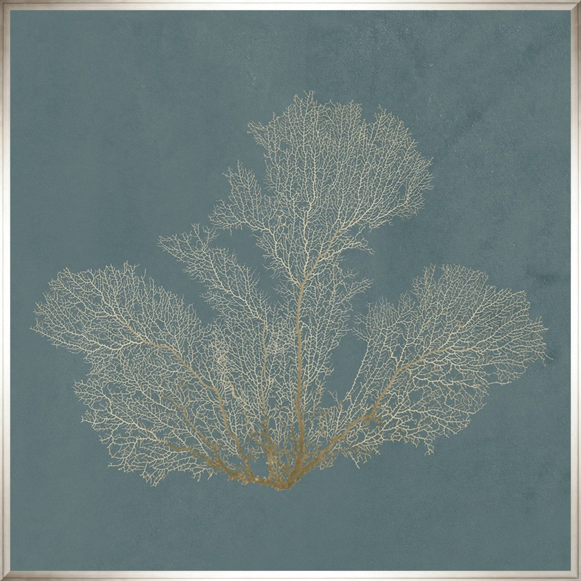 Ocean Lace II