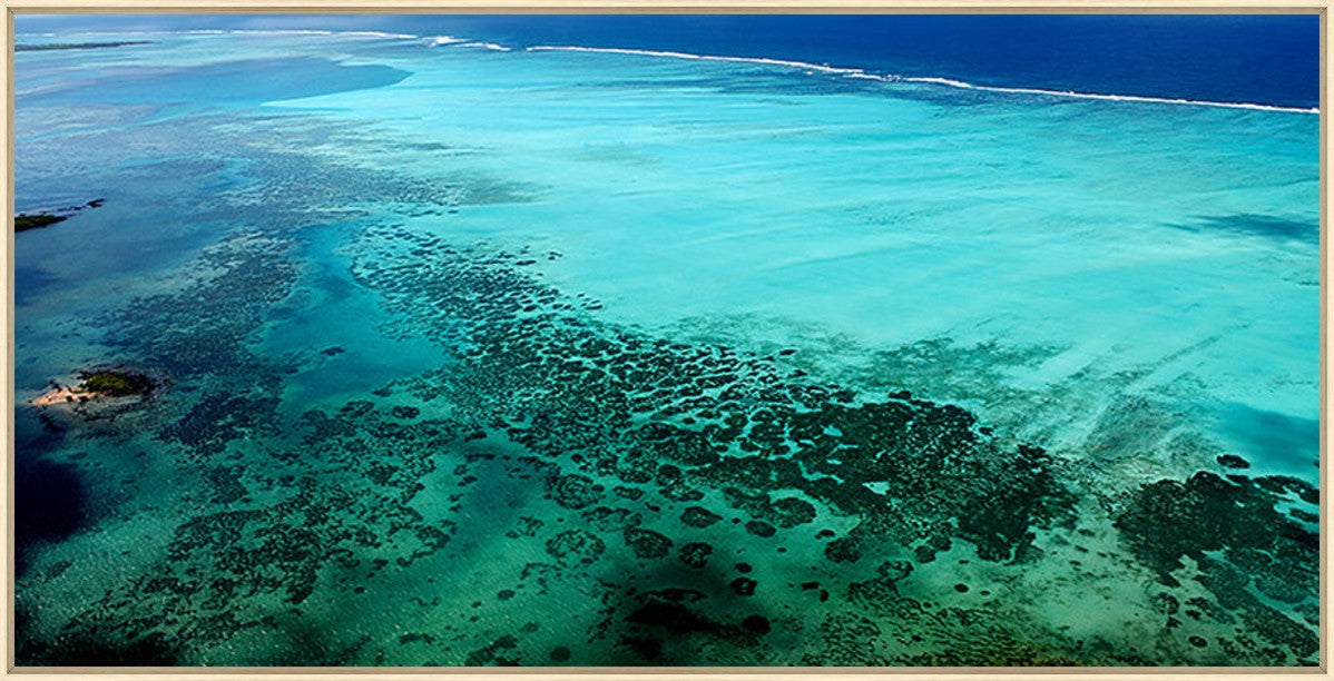 Tropical Shoreline, 48" x 24", Wood frame