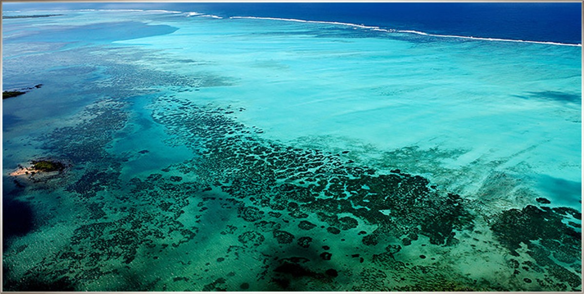 Tropical Shoreline, 80" x 40", Silver frame