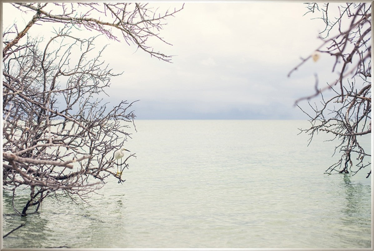 Shade of the Tide 45" x 30" Silver frame