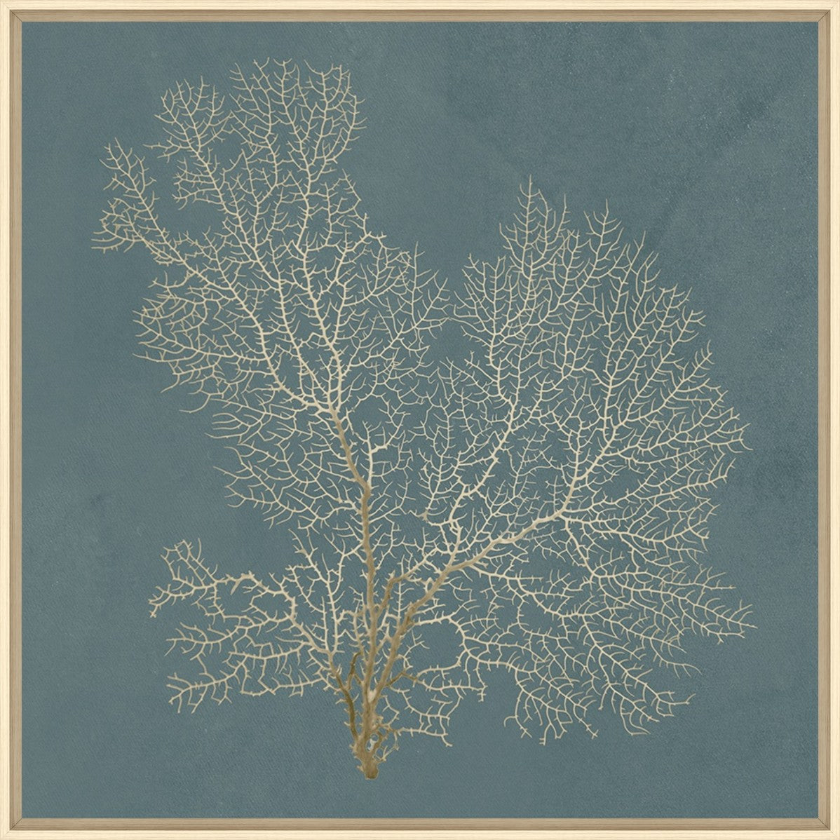 Ocean Lace I 20" x 20" Wood frame