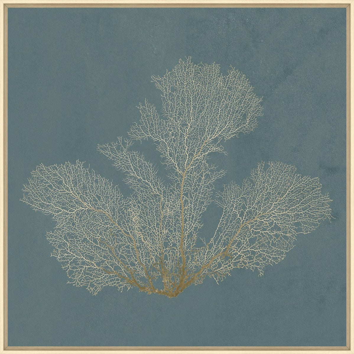 Ocean Lace II