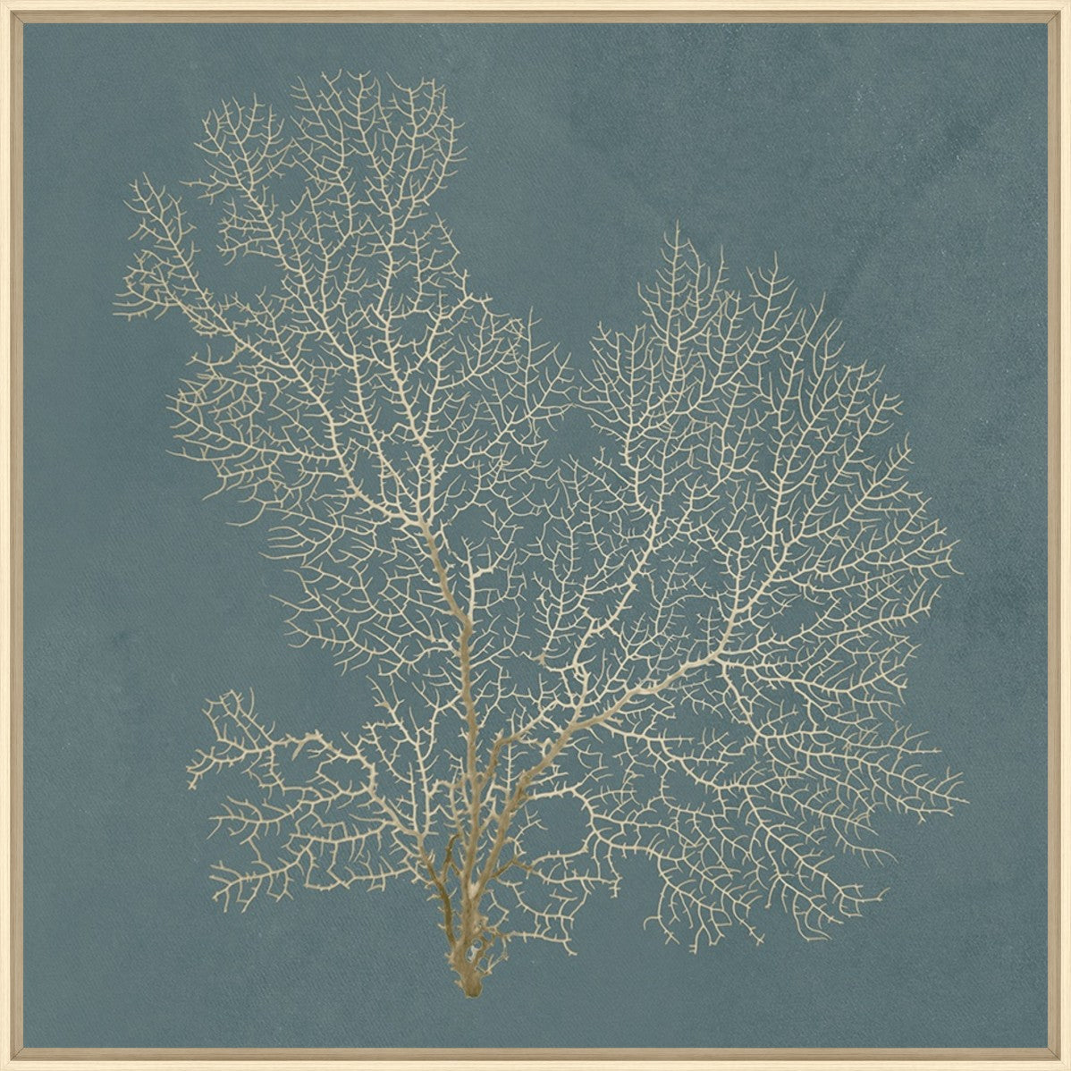 Ocean Lace I 24" x 24" Wood frame