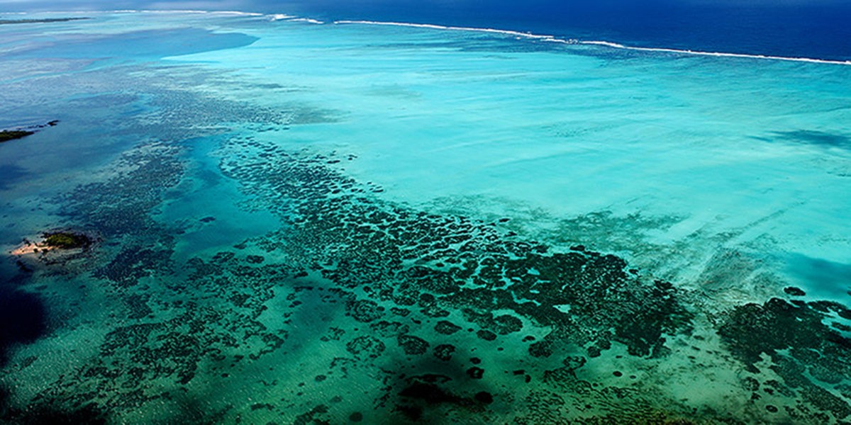 Tropical Shoreline, 60" x 30", Unframed