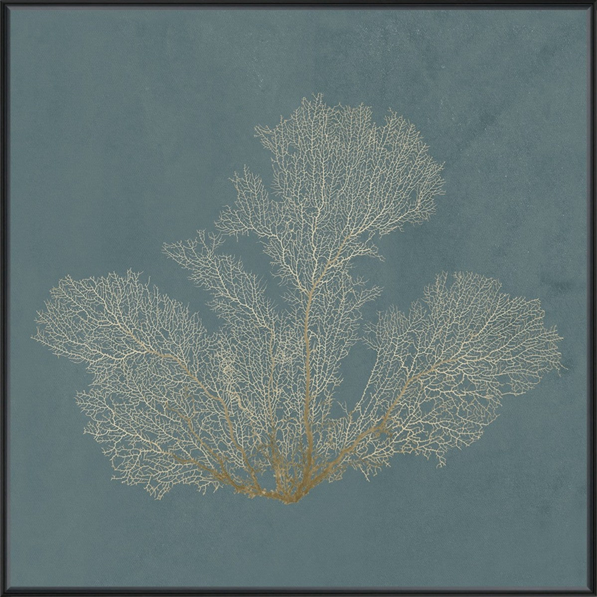Ocean Lace II