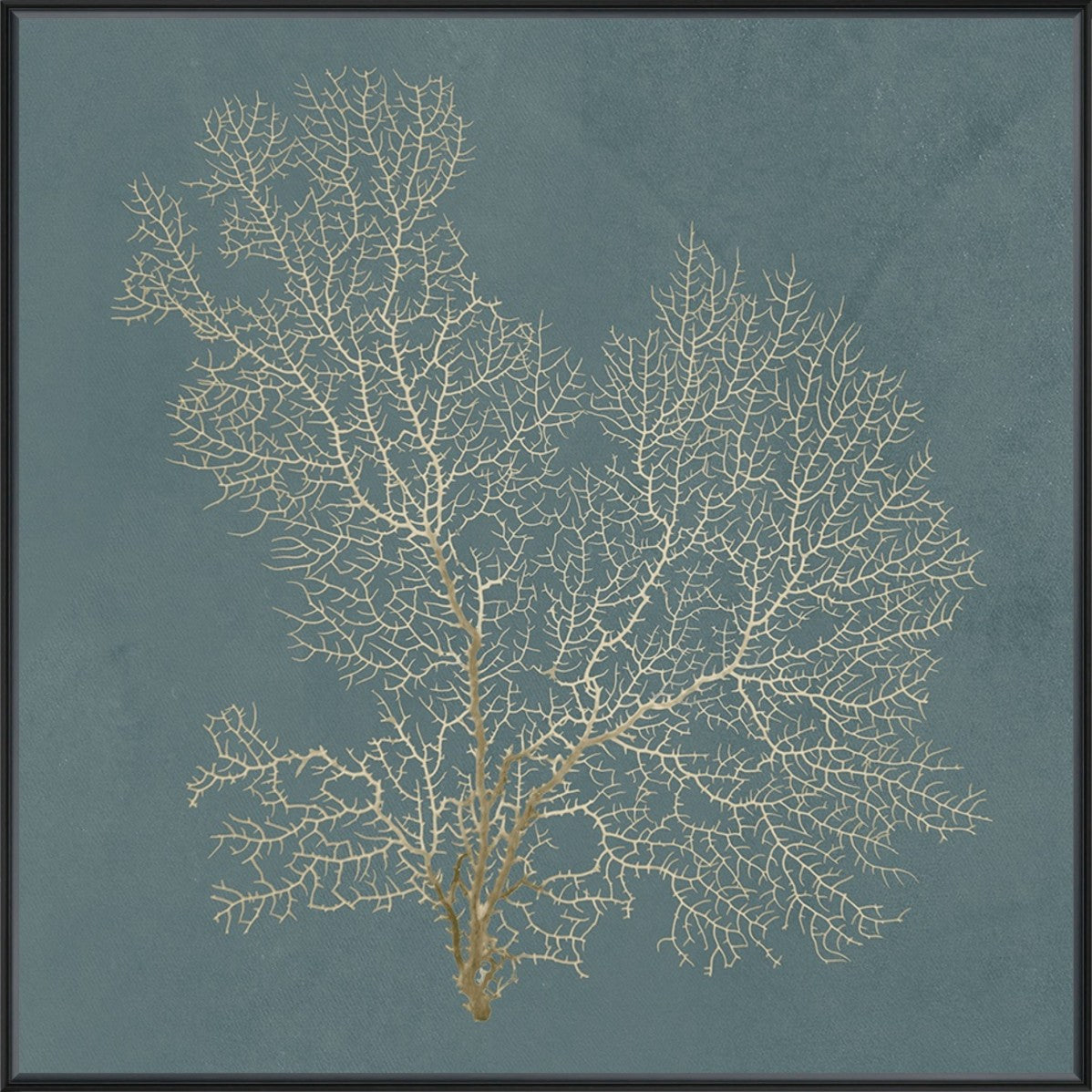 Ocean Lace I 20" x 20" Black frame
