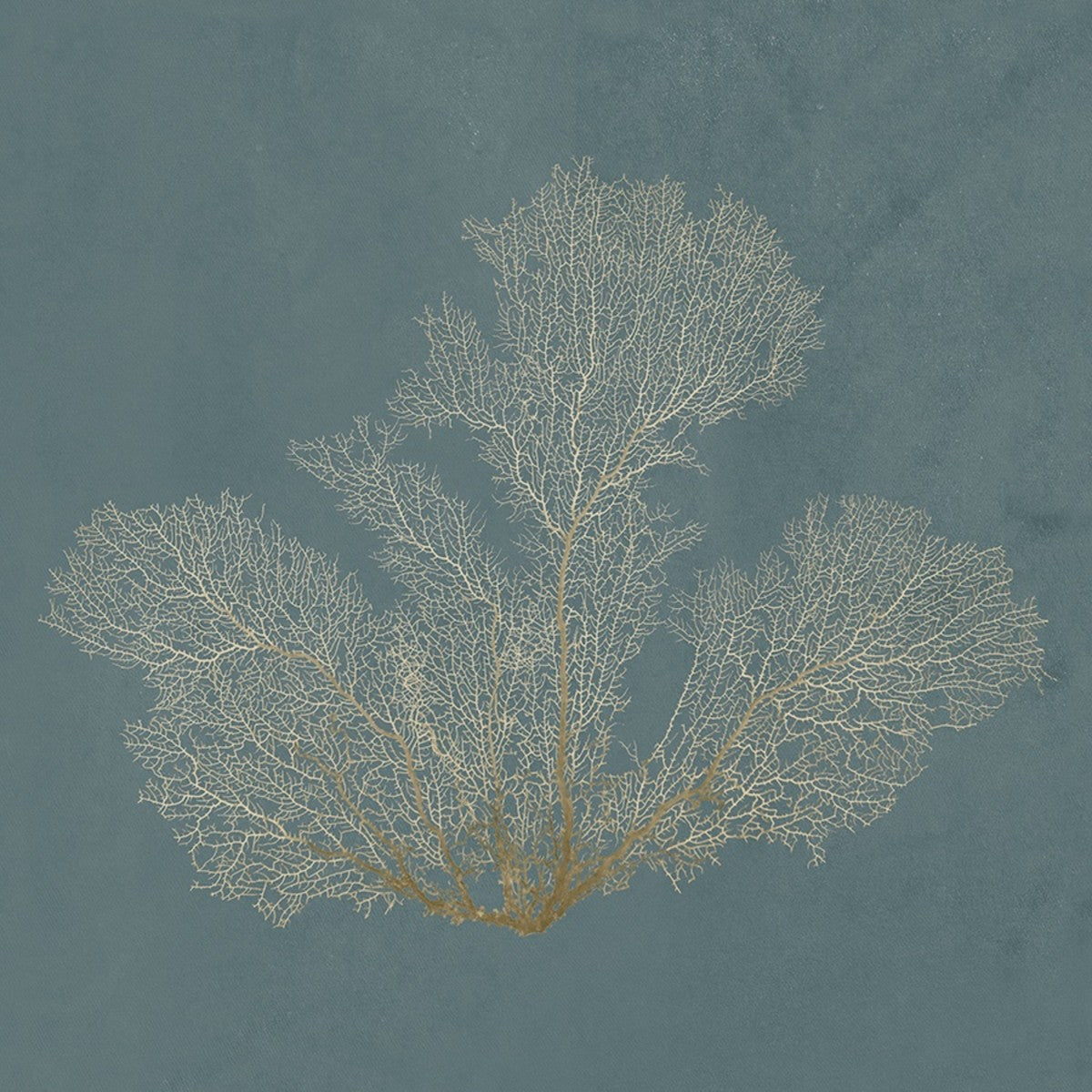 Ocean Lace II